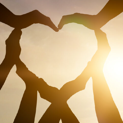 Core values category